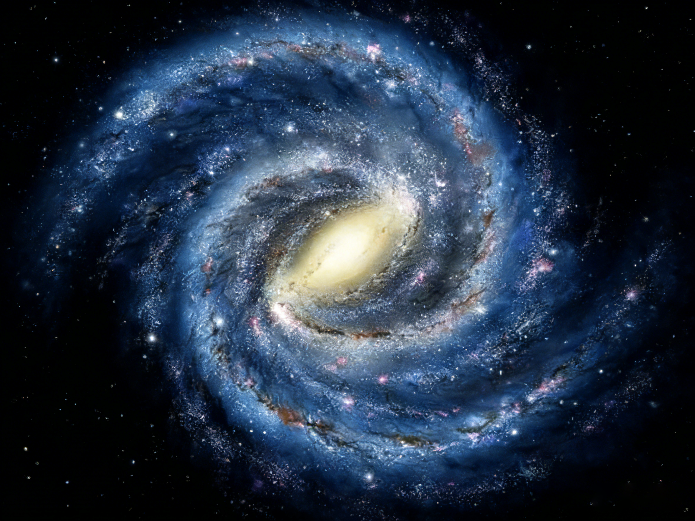 The "I Have No Idea What to Get Them" Gift Guide 🎁